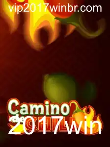 Descobrindo o Fascinante Mundo de CaminodeChili